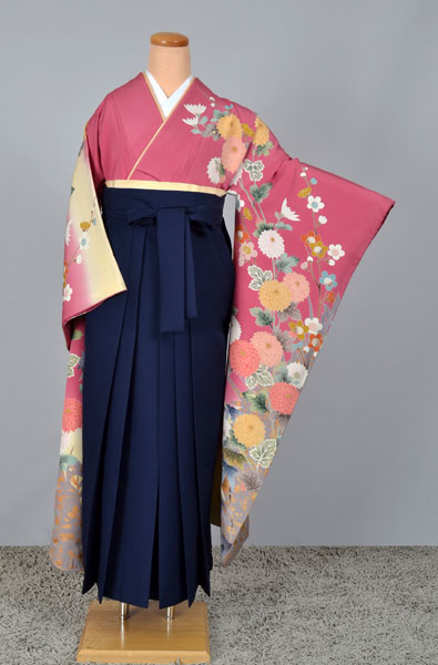 卒業袴（モダン）