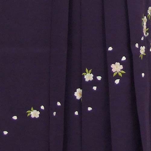 卒業袴(水色地・花々着物/紫地桜刺繍袴)