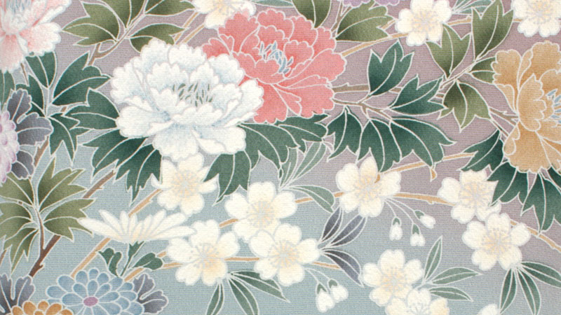 [t]色留袖[菊・桜]