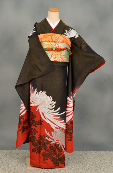 振袖[金のラメ入り黒地に大輪菊]