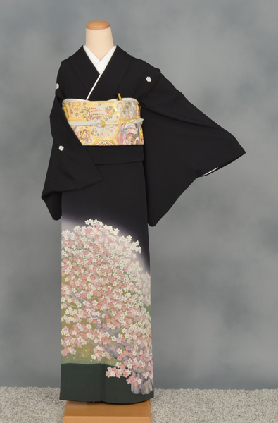 黒留袖〔桜花爛漫〕