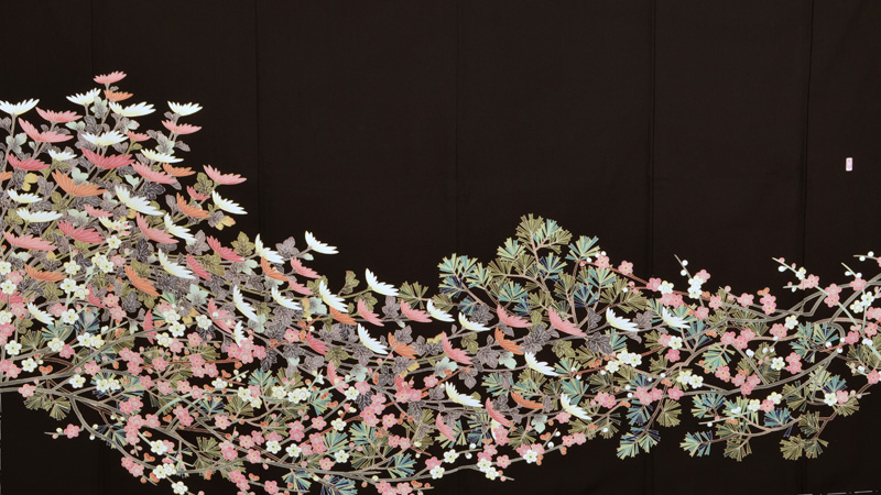 黒留袖〔菊花模様〕