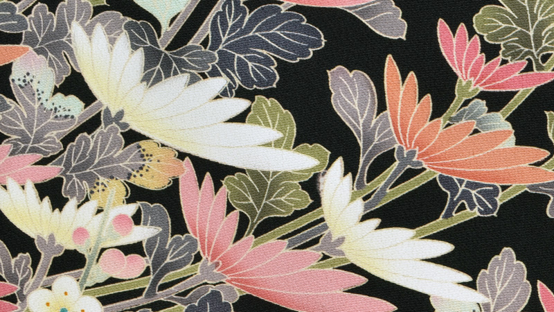 黒留袖〔菊花模様〕