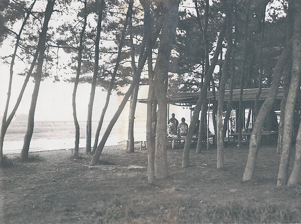 aa029.jpg
